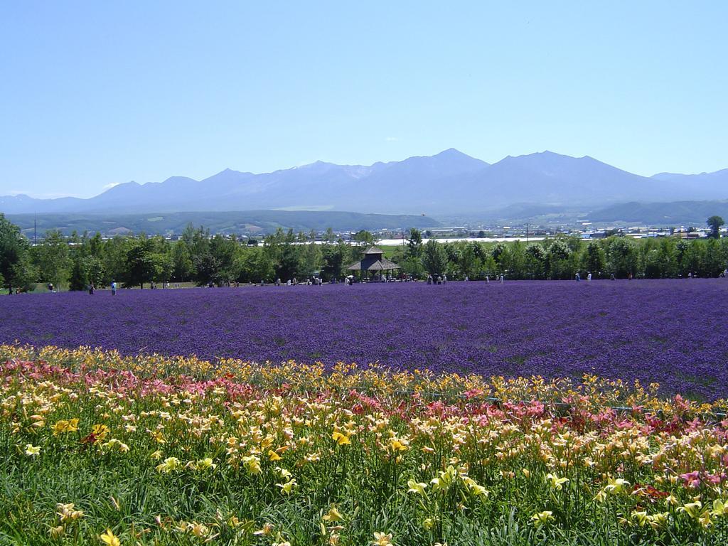 Furano Prince Hotel Екстериор снимка